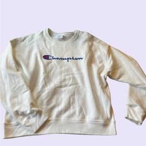 NEVER WORN, champion pullover!